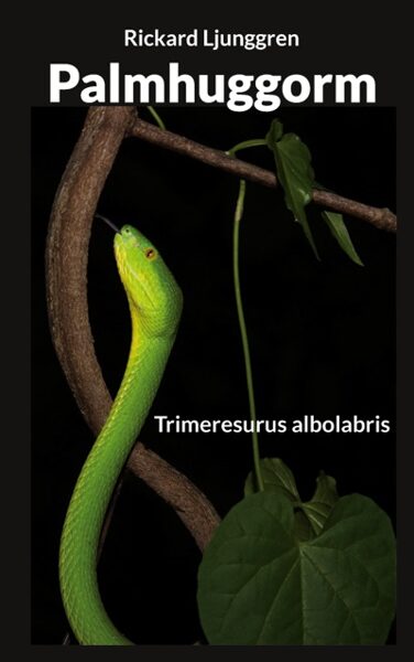 Palmhuggorm - Trimeresurus albolabris