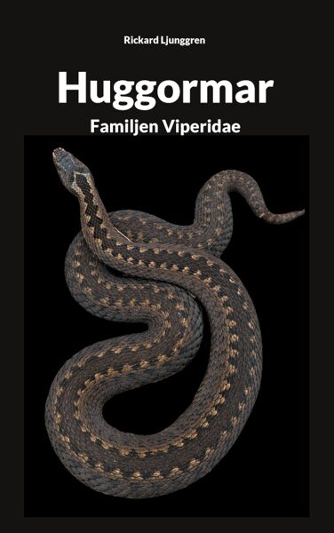 Huggormar - Familjen Viperidae